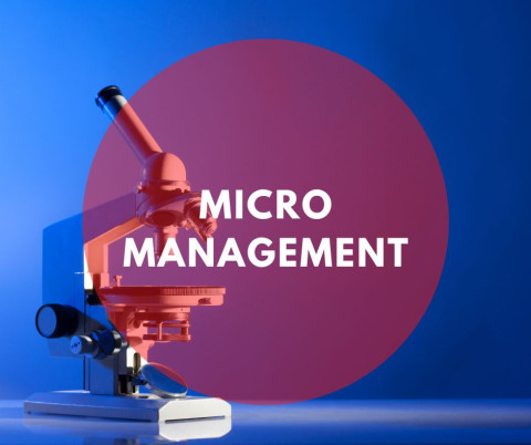 Micro management